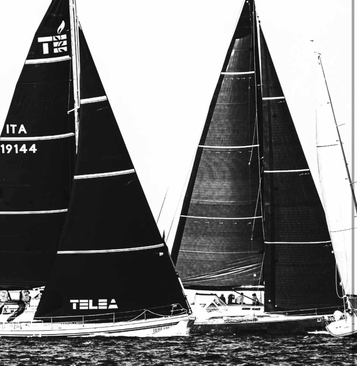 Vela in Adriatico