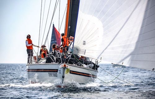 Telea – Bavaria 44